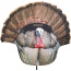 Montana Decoy Turkey Gobbler - Fanatic 2d